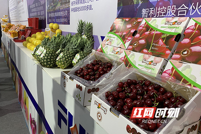 周末果品會 繽紛水果盛宴，盡享舌尖上的甜蜜時光